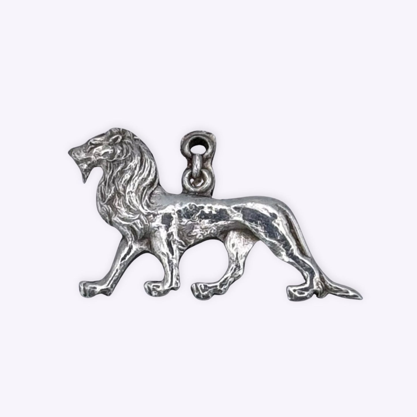 Distinguished Lion