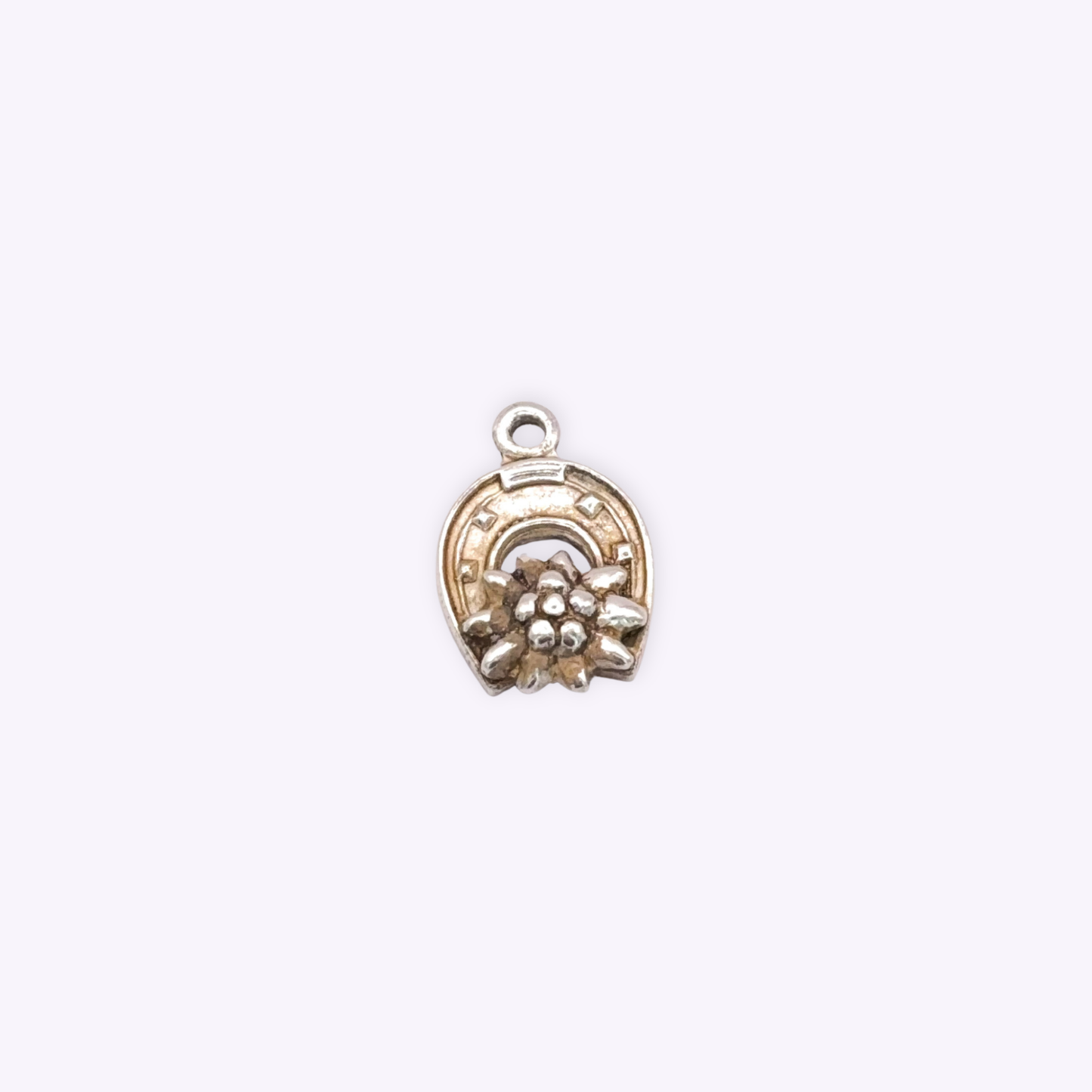 Horseshoe with Edelweiss