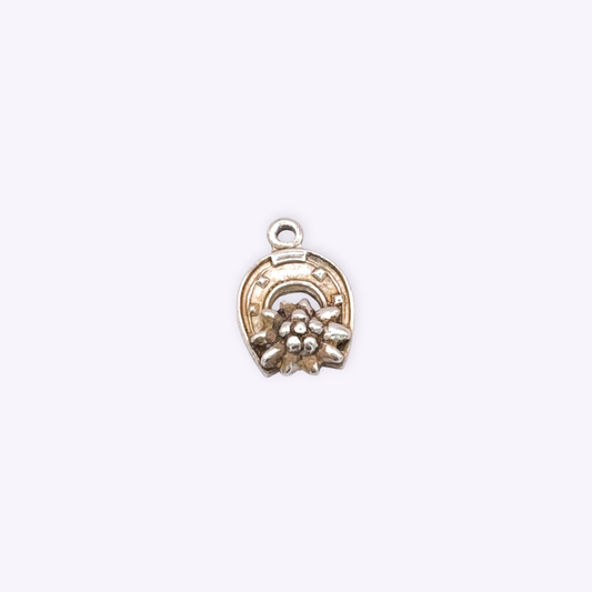 Horseshoe with Edelweiss
