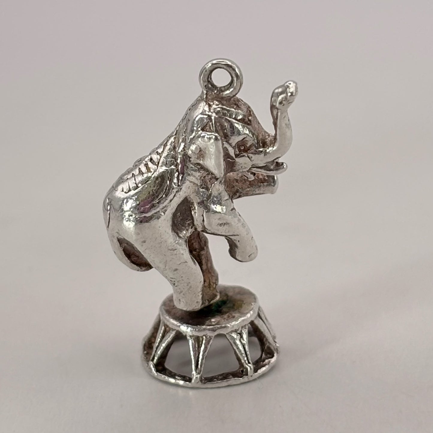 Circus Elephant