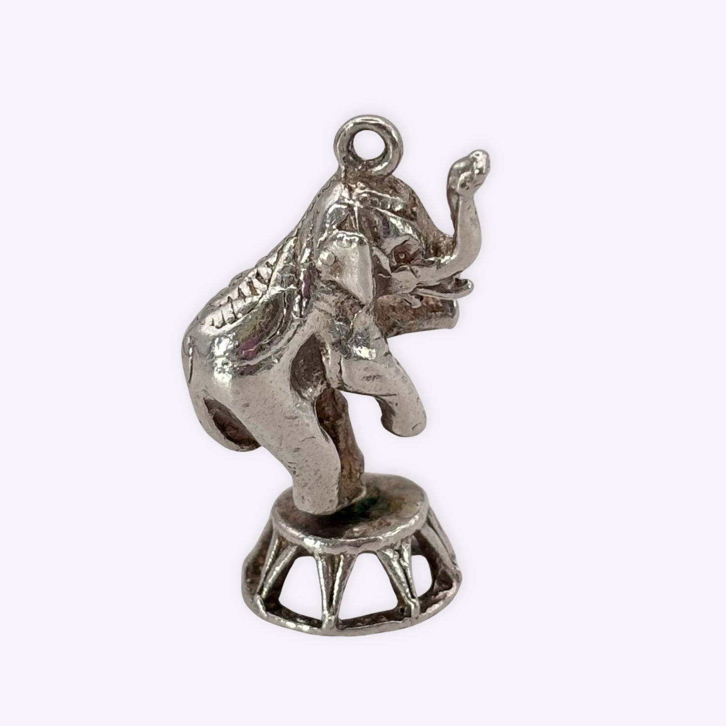Circus Elephant