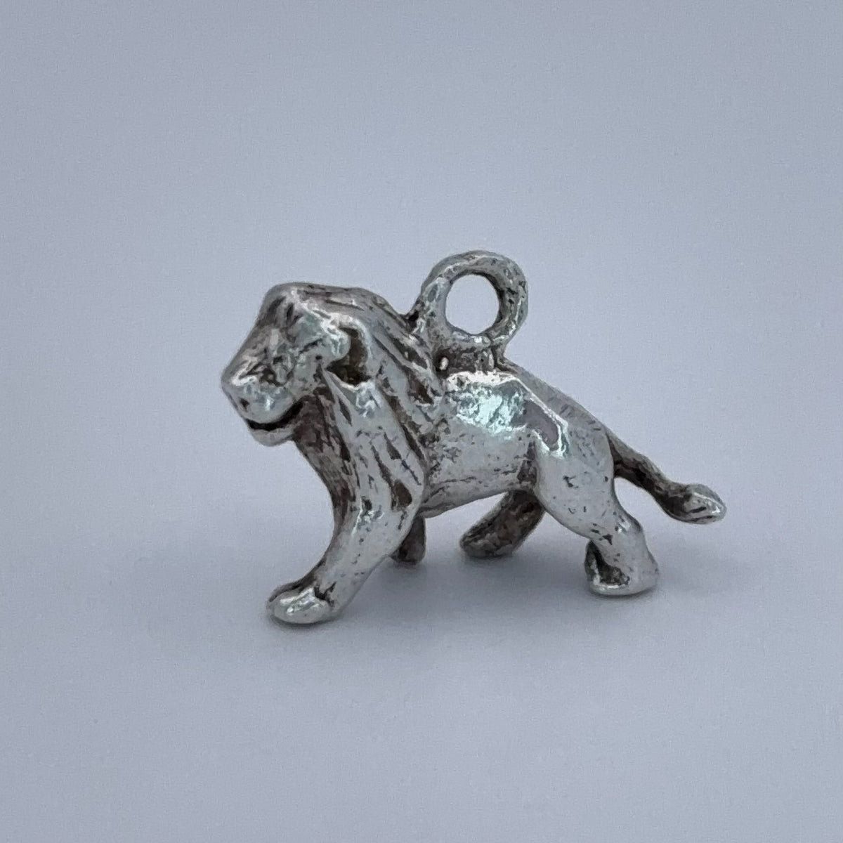 Wise Lion