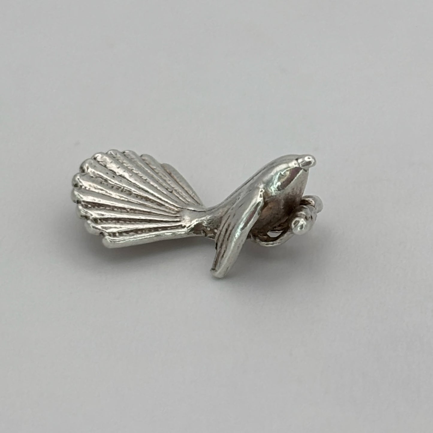 Cheeky Fantail