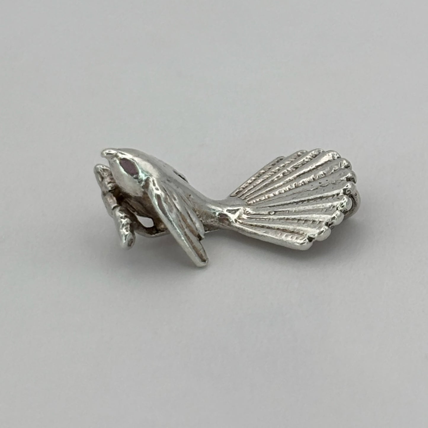 Cheeky Fantail