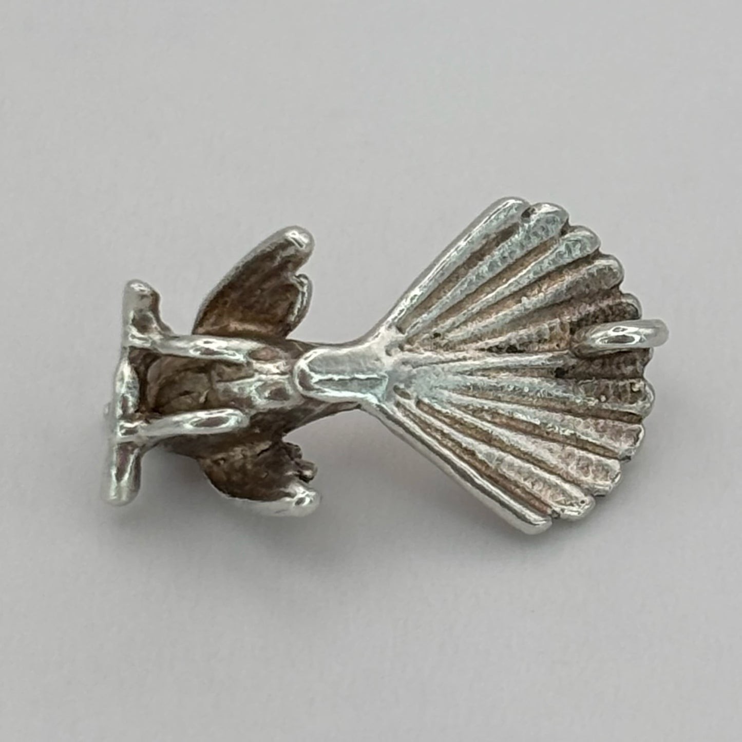 Cheeky Fantail