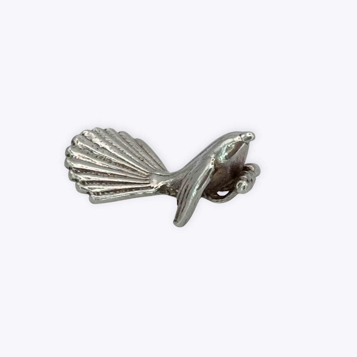 Cheeky Fantail