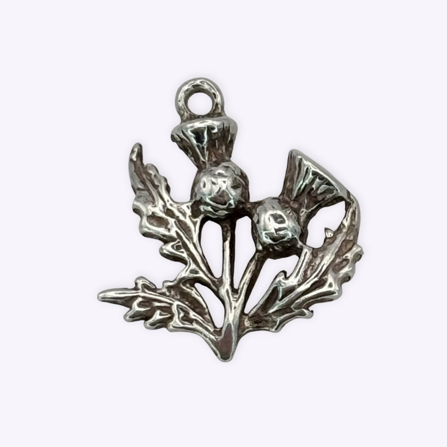 Resilient Thistle