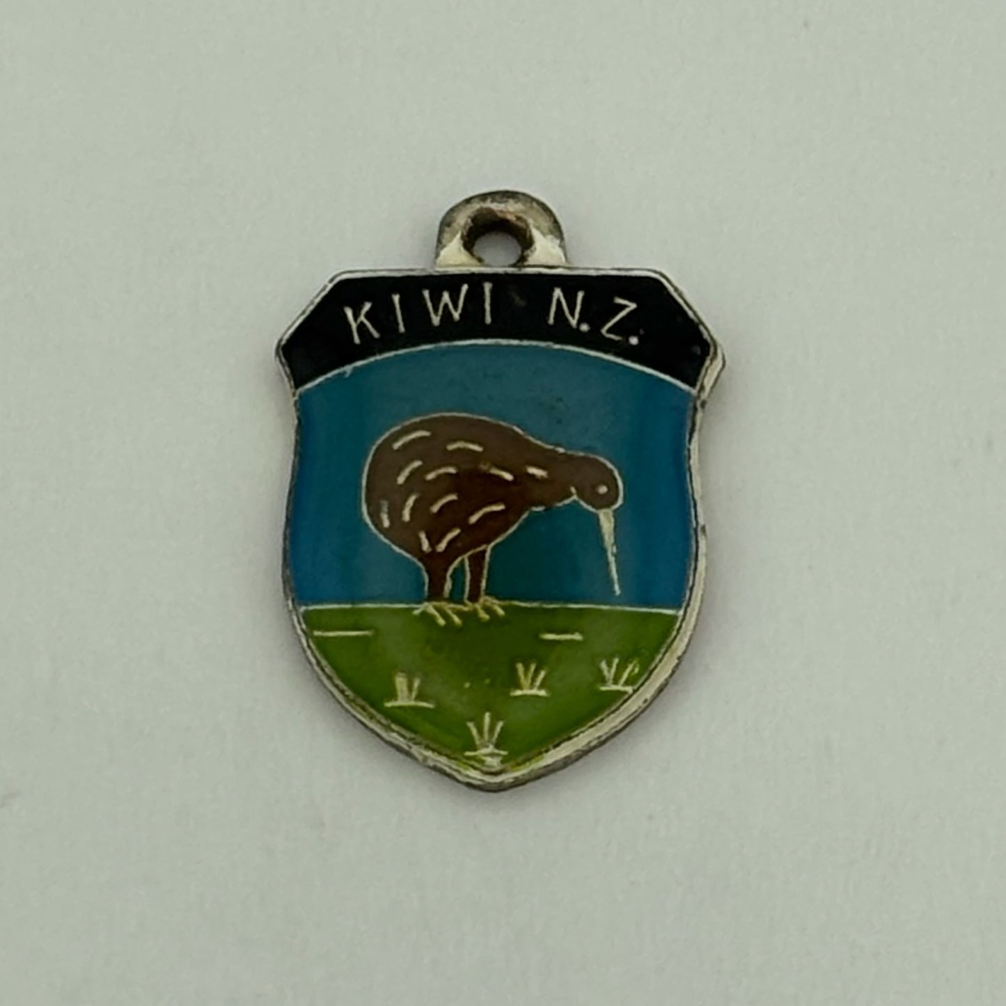 Kiwi Shield