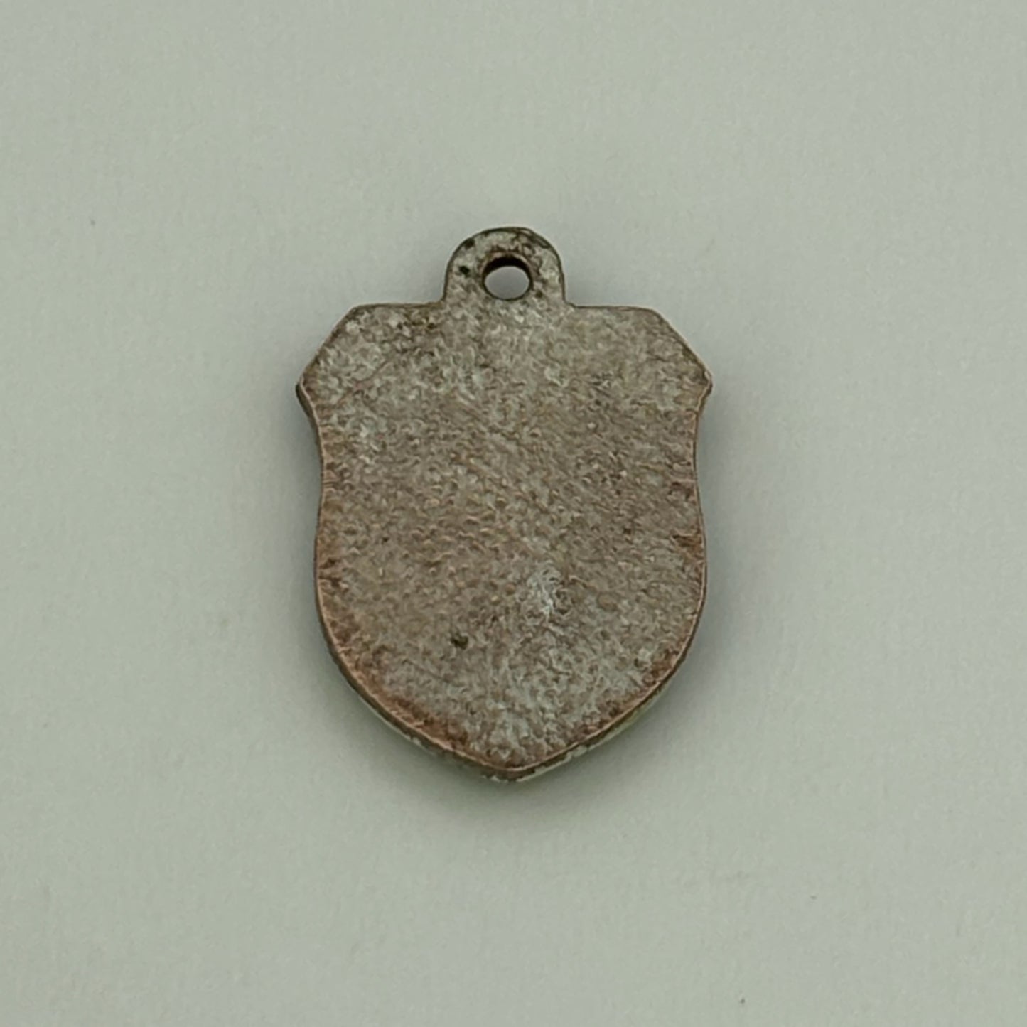Kiwi Shield