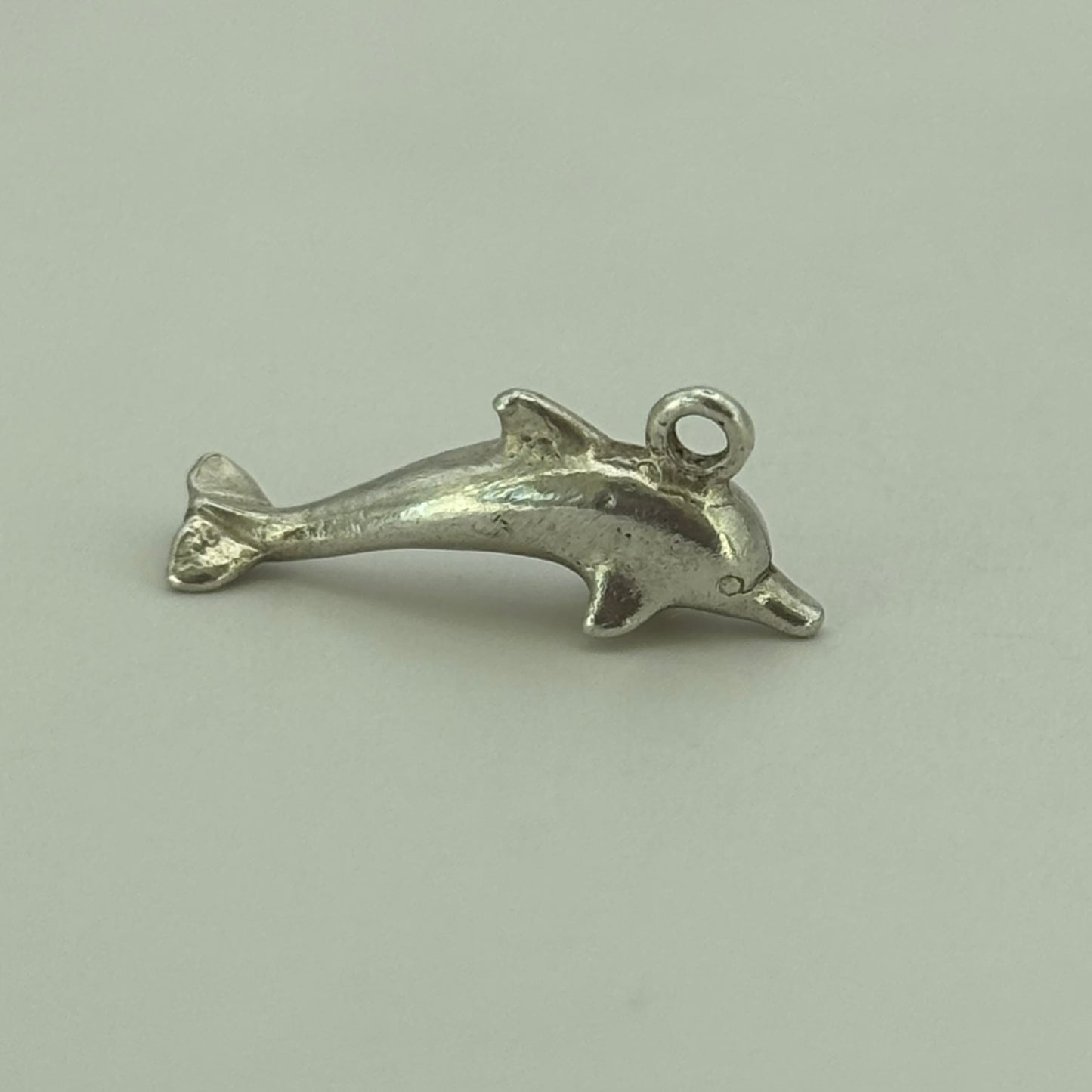 Mini Dolphin