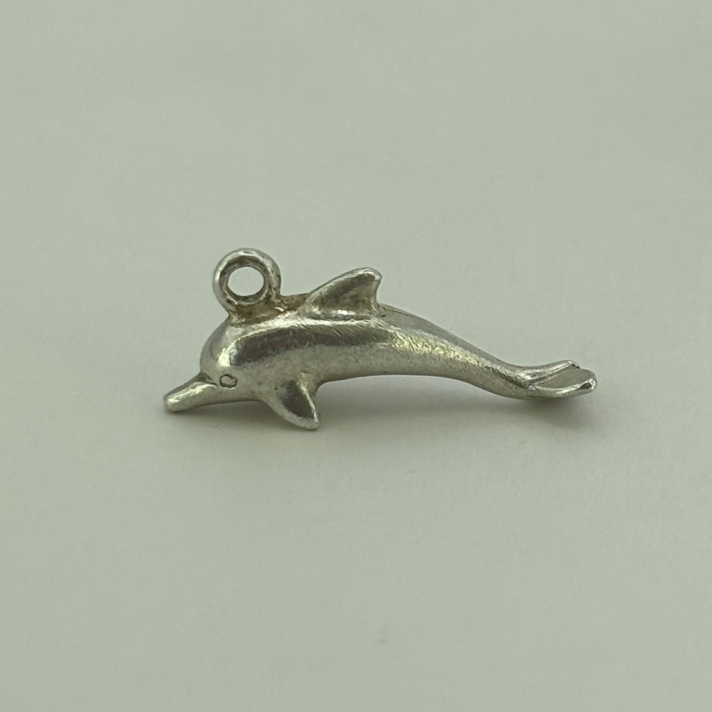 Mini Dolphin