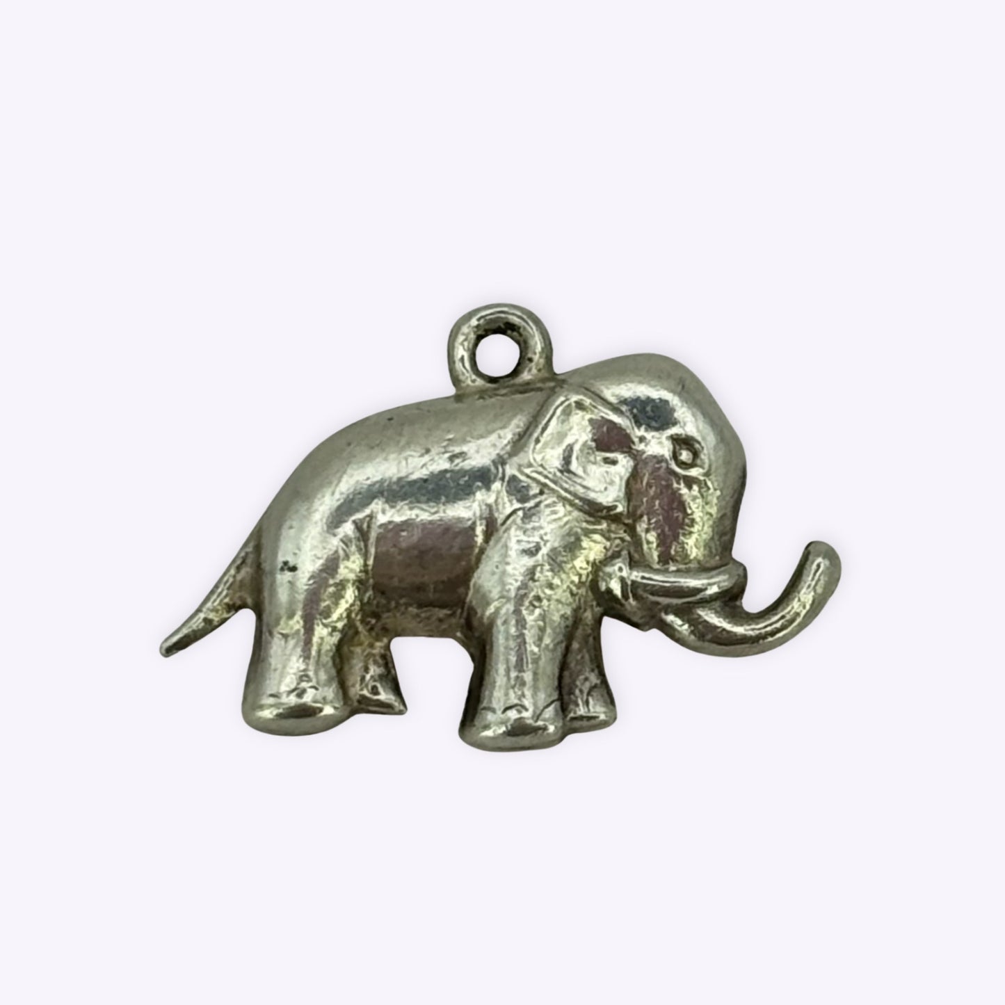 Tusky Elephant