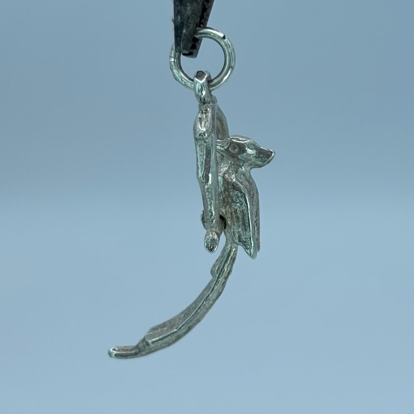 Bird on Swing