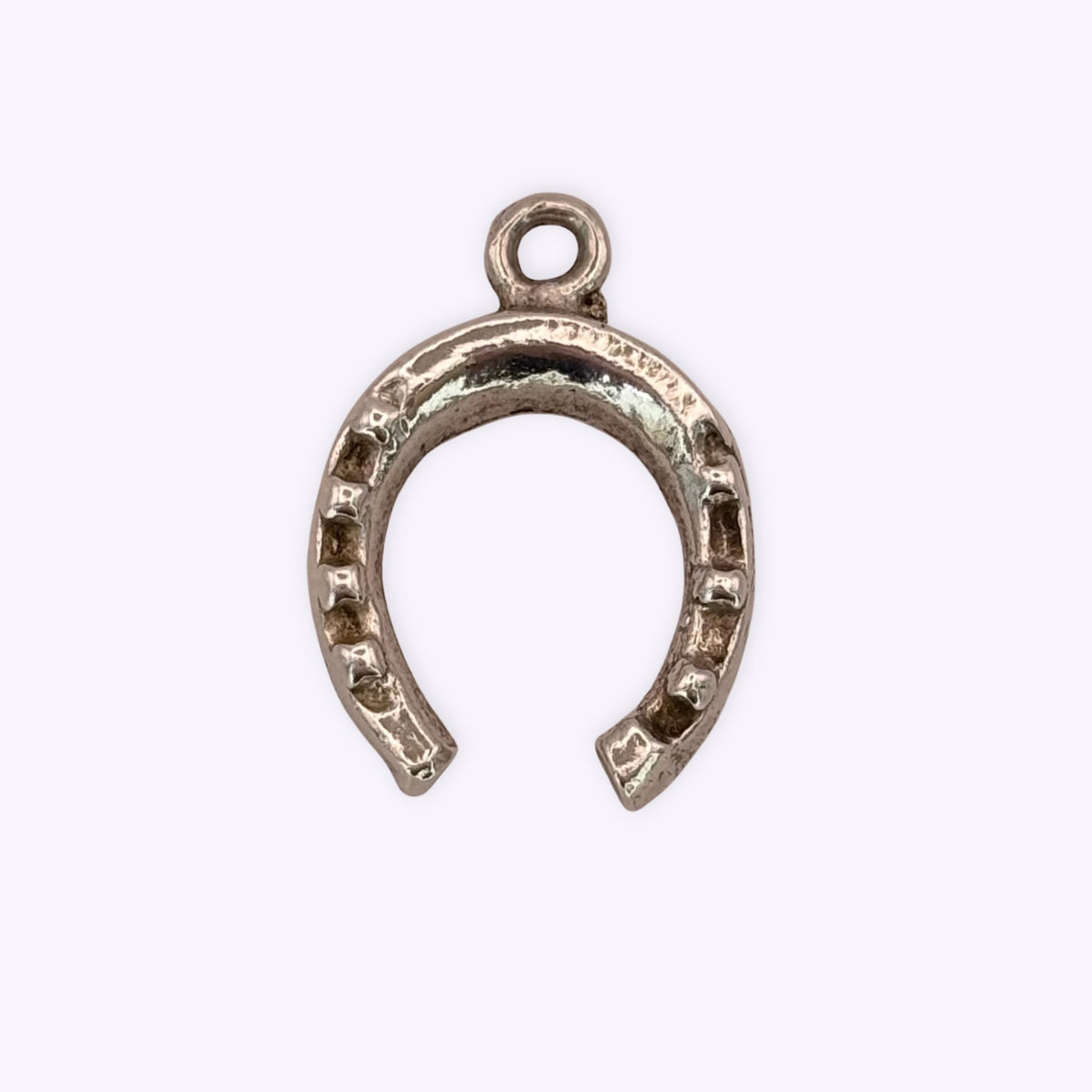 Sturdy Horseshoe
