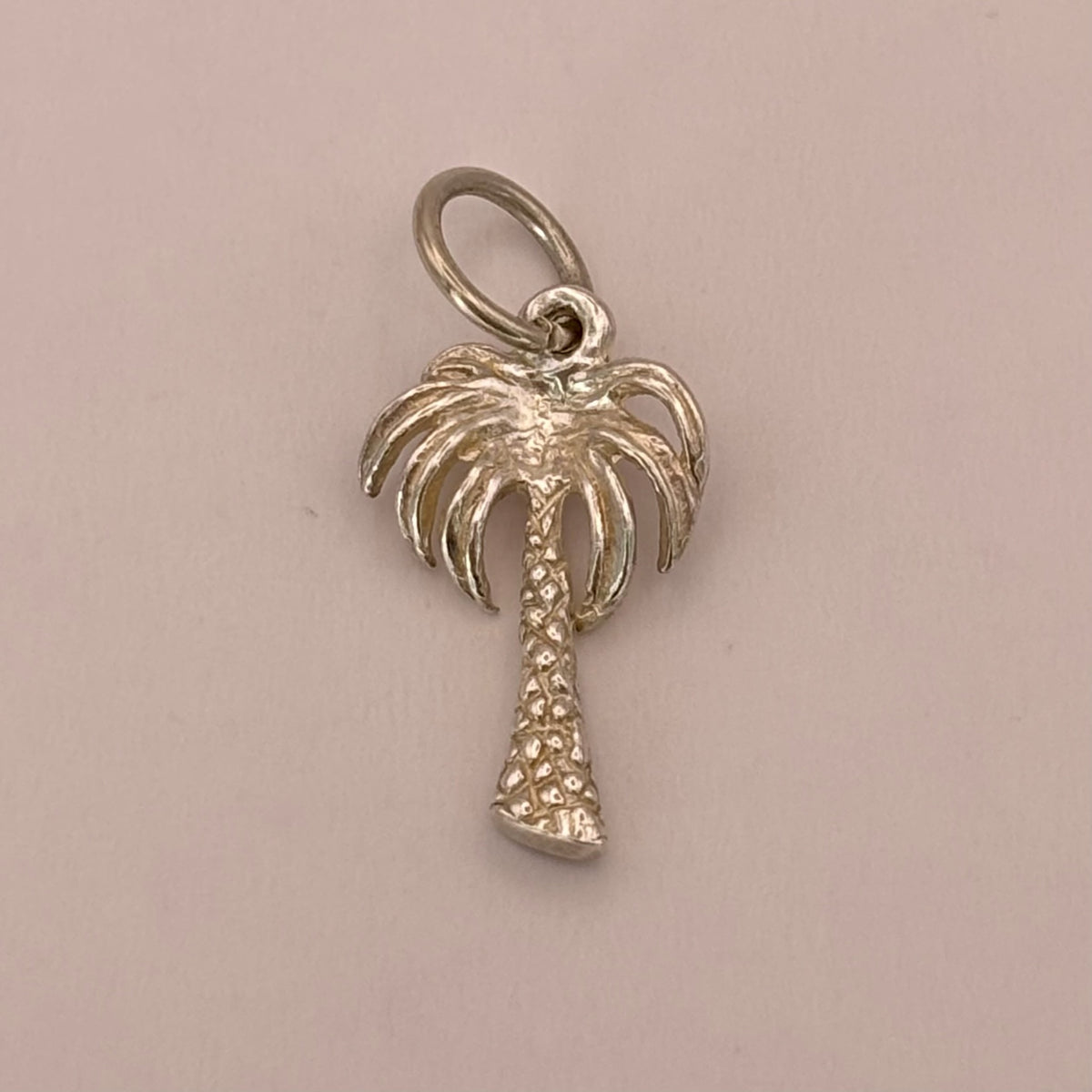 Palm Tree