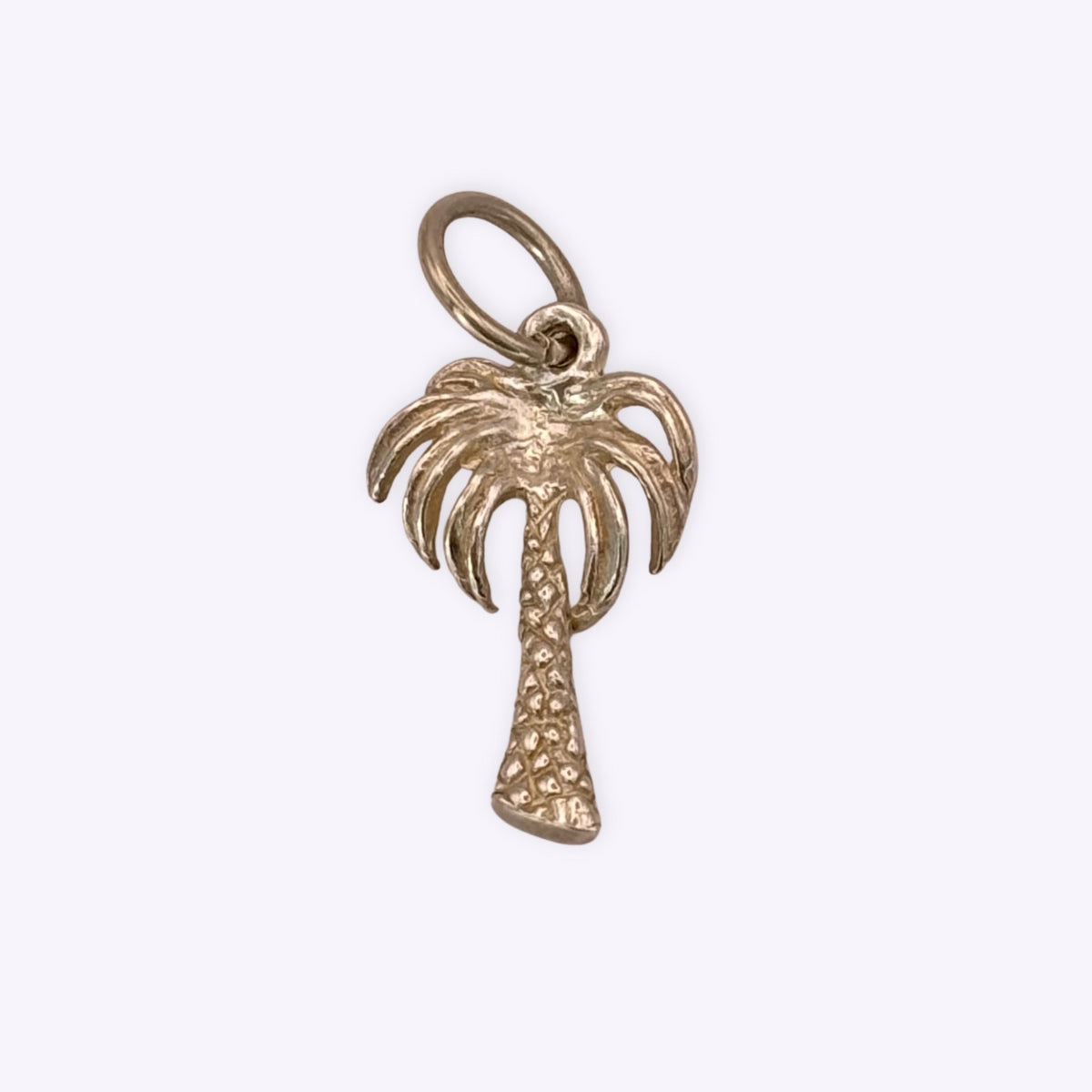 Palm Tree