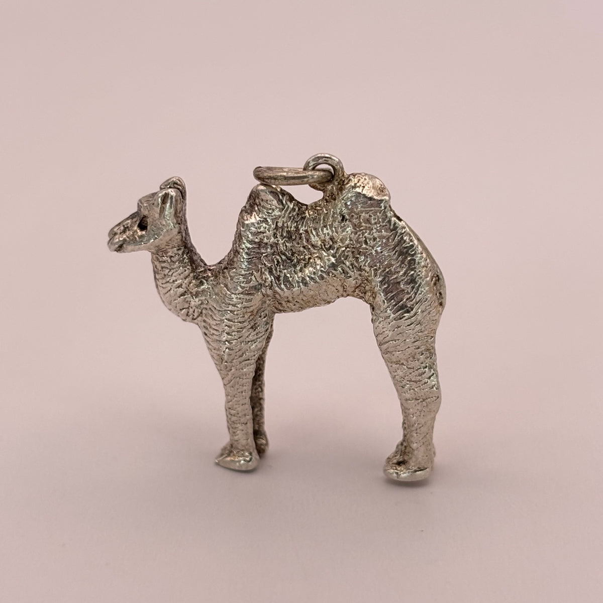 Large Camel