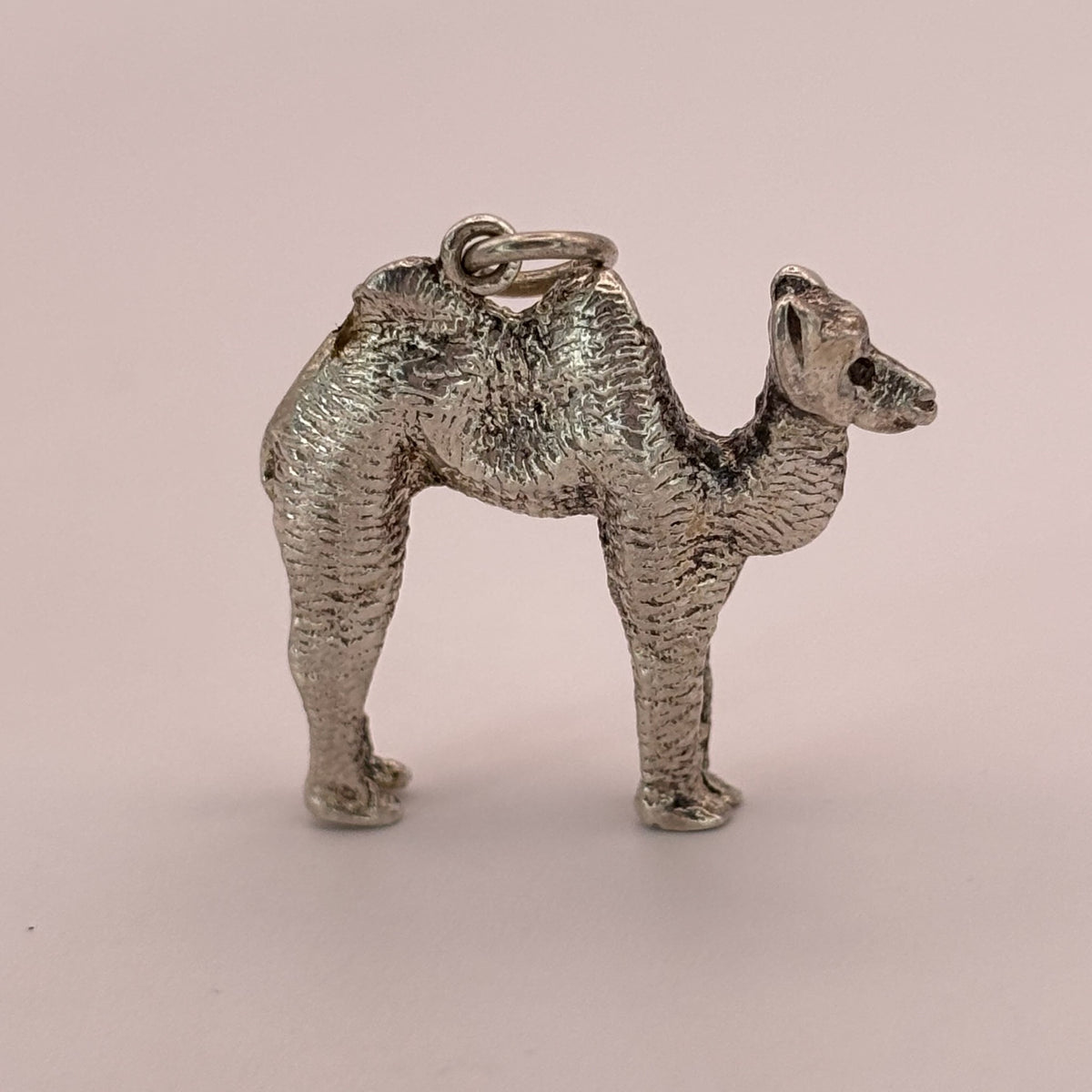 Large Camel