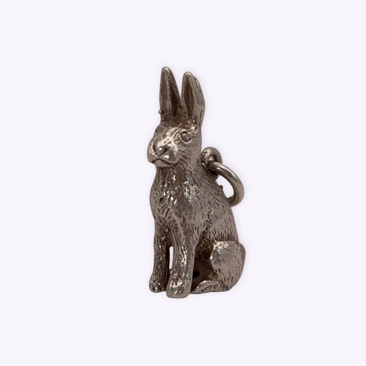 Bunny Rabbit