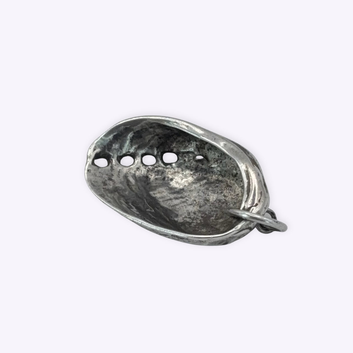 Paua Shell