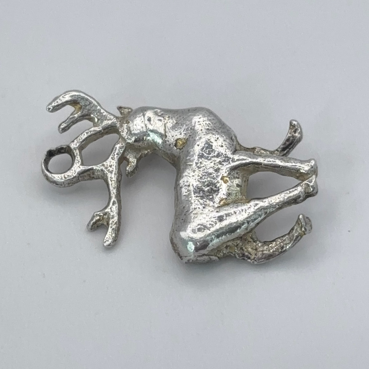 Southern Stag
