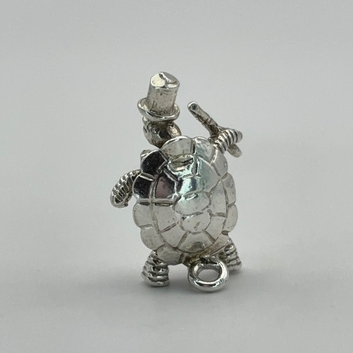 Turtle Magician