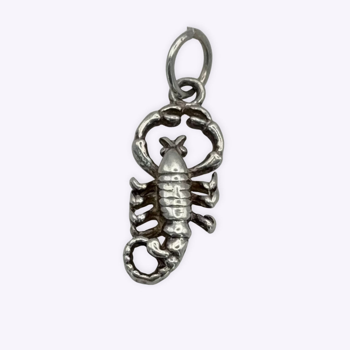 Friendly Scorpion