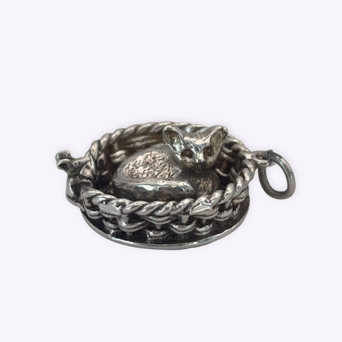 Spinning Cat in Basket