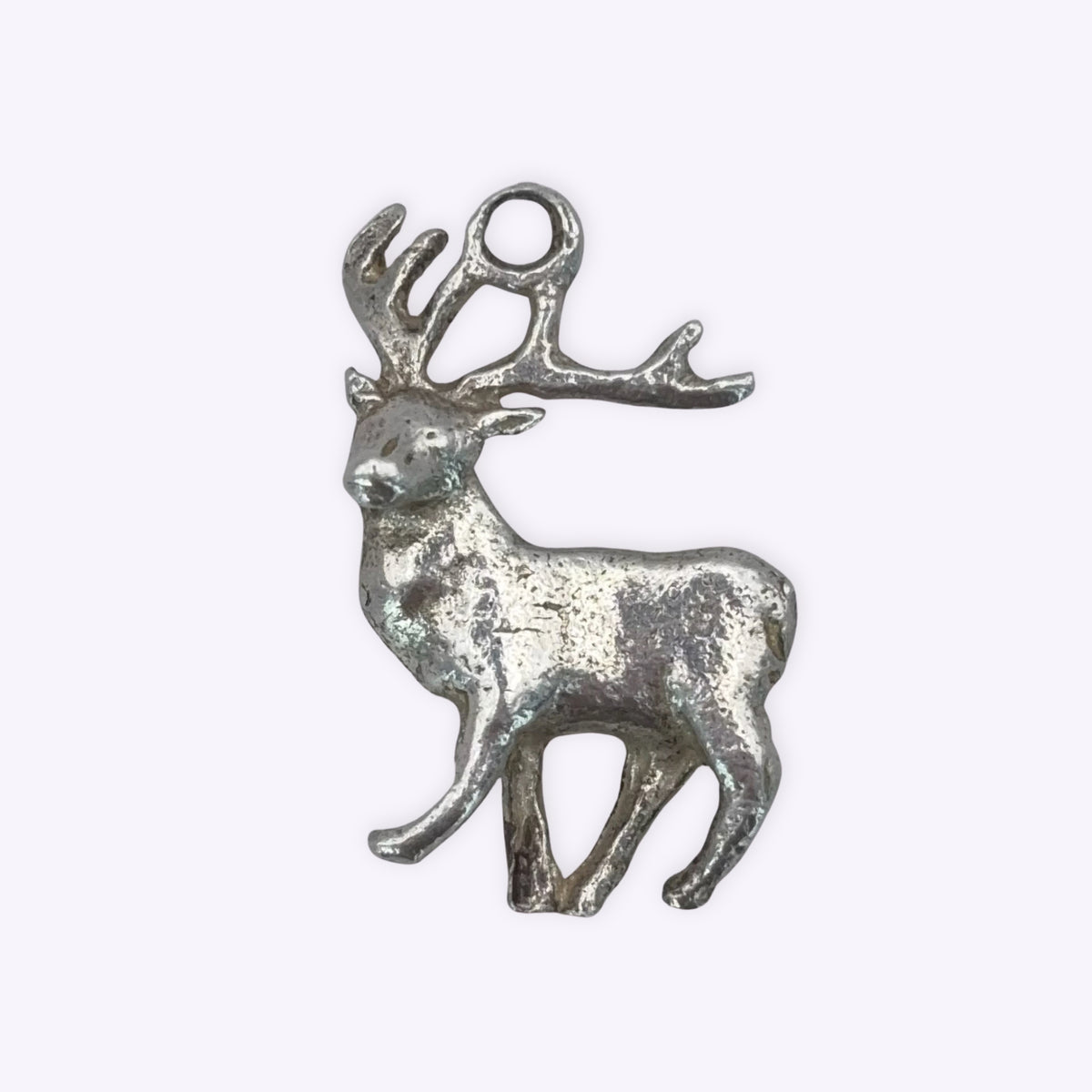 Southern Stag