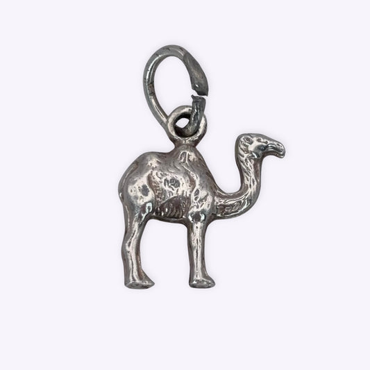 Cute Camel