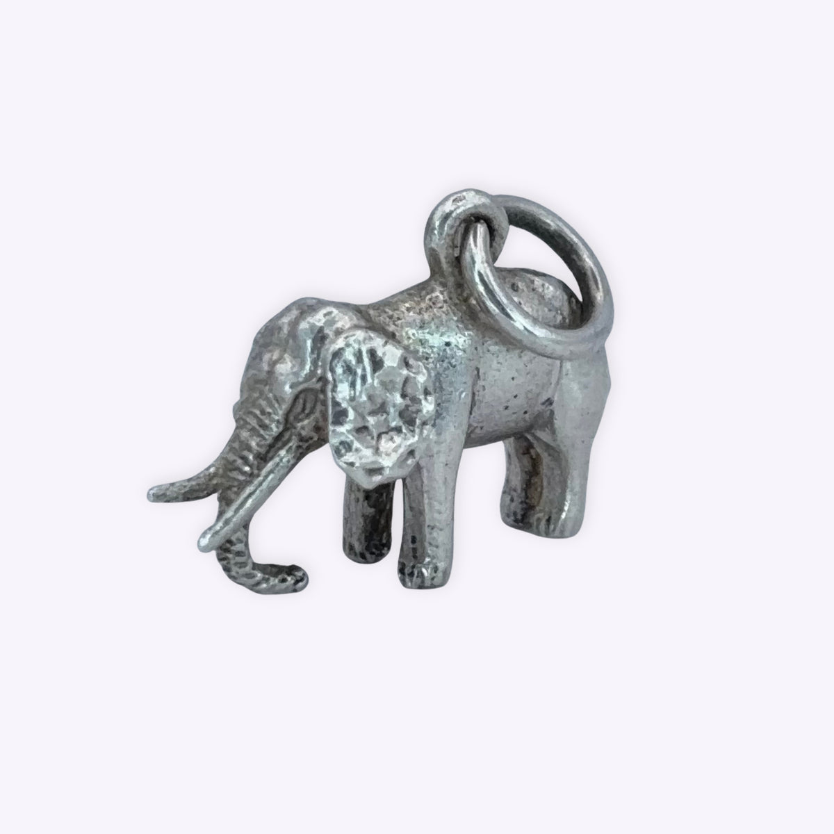 Tusky Elephant