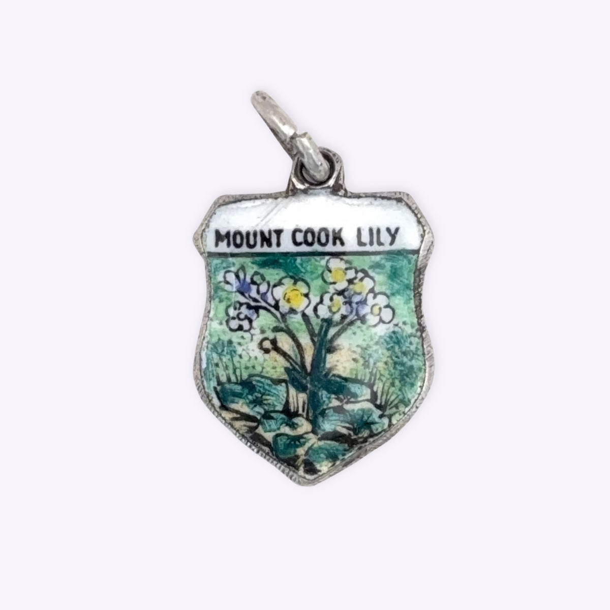 Mount Cook Lily Shield