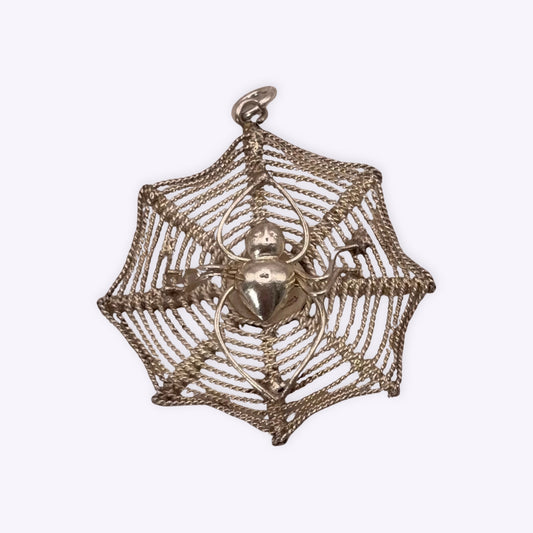 Spider in Web