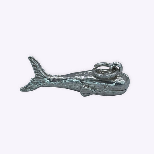 Whale Watching
