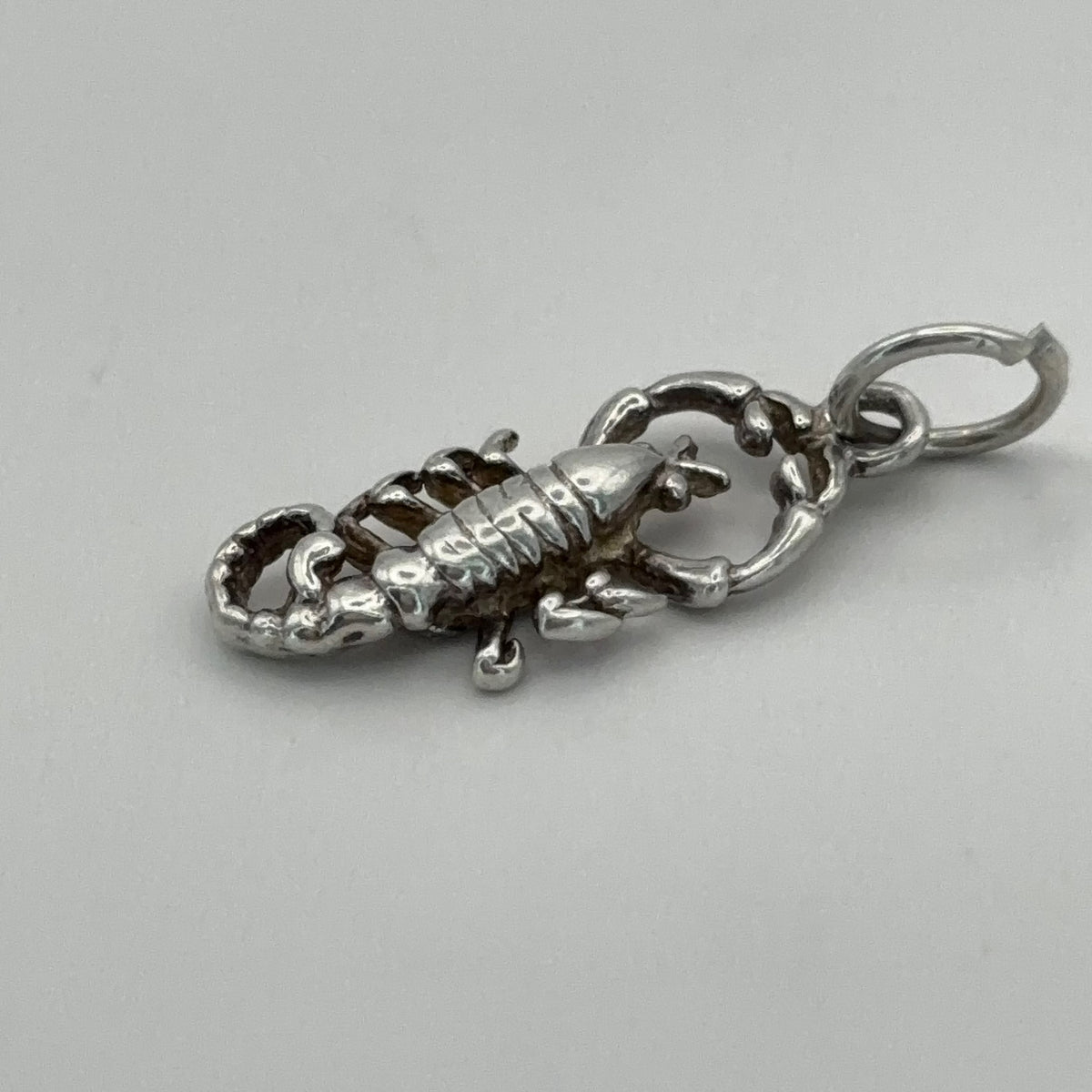 Friendly Scorpion