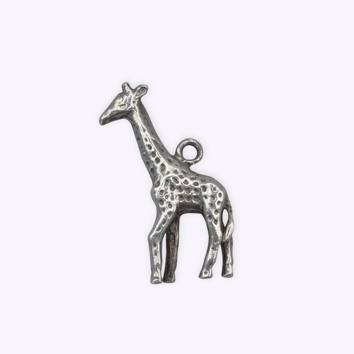 Lovely Giraffe