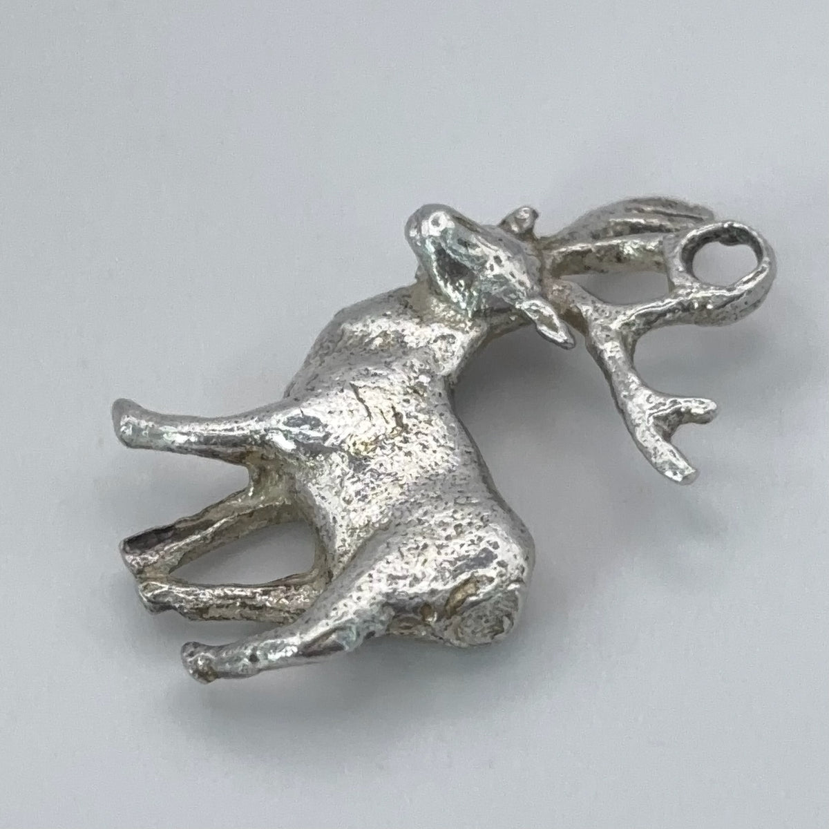 Southern Stag