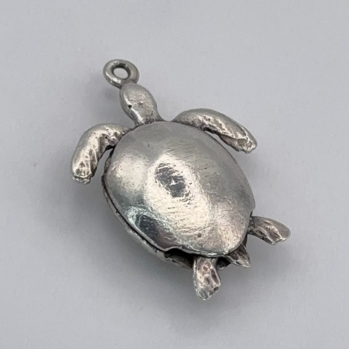 Articulated Turtle