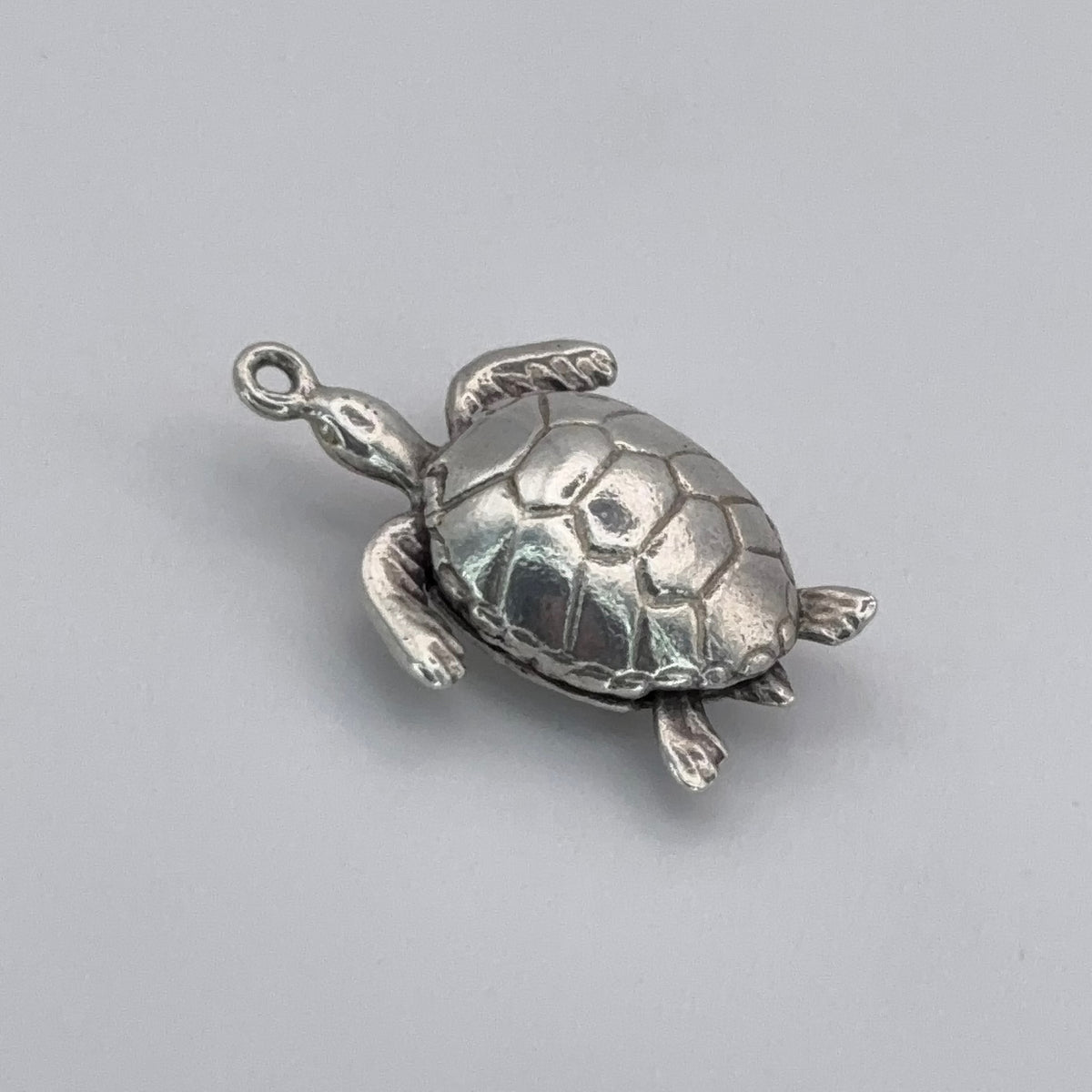 Articulated Turtle