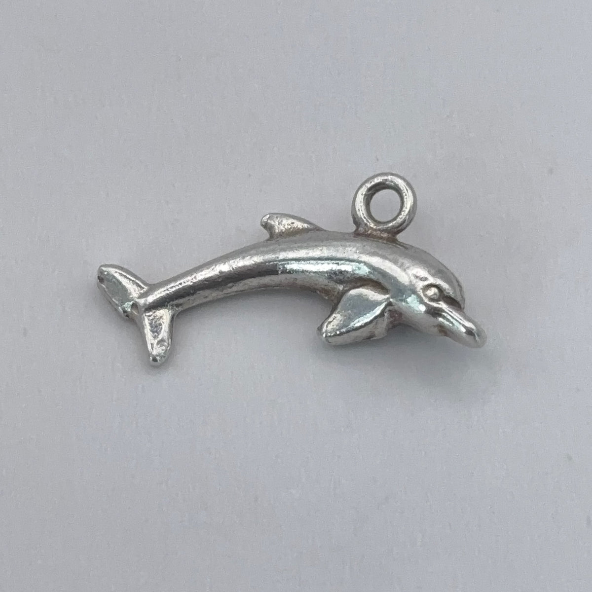 Cutie Dolphin