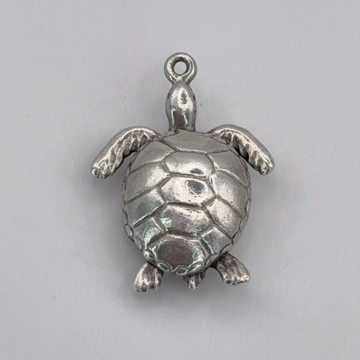 Articulated Turtle