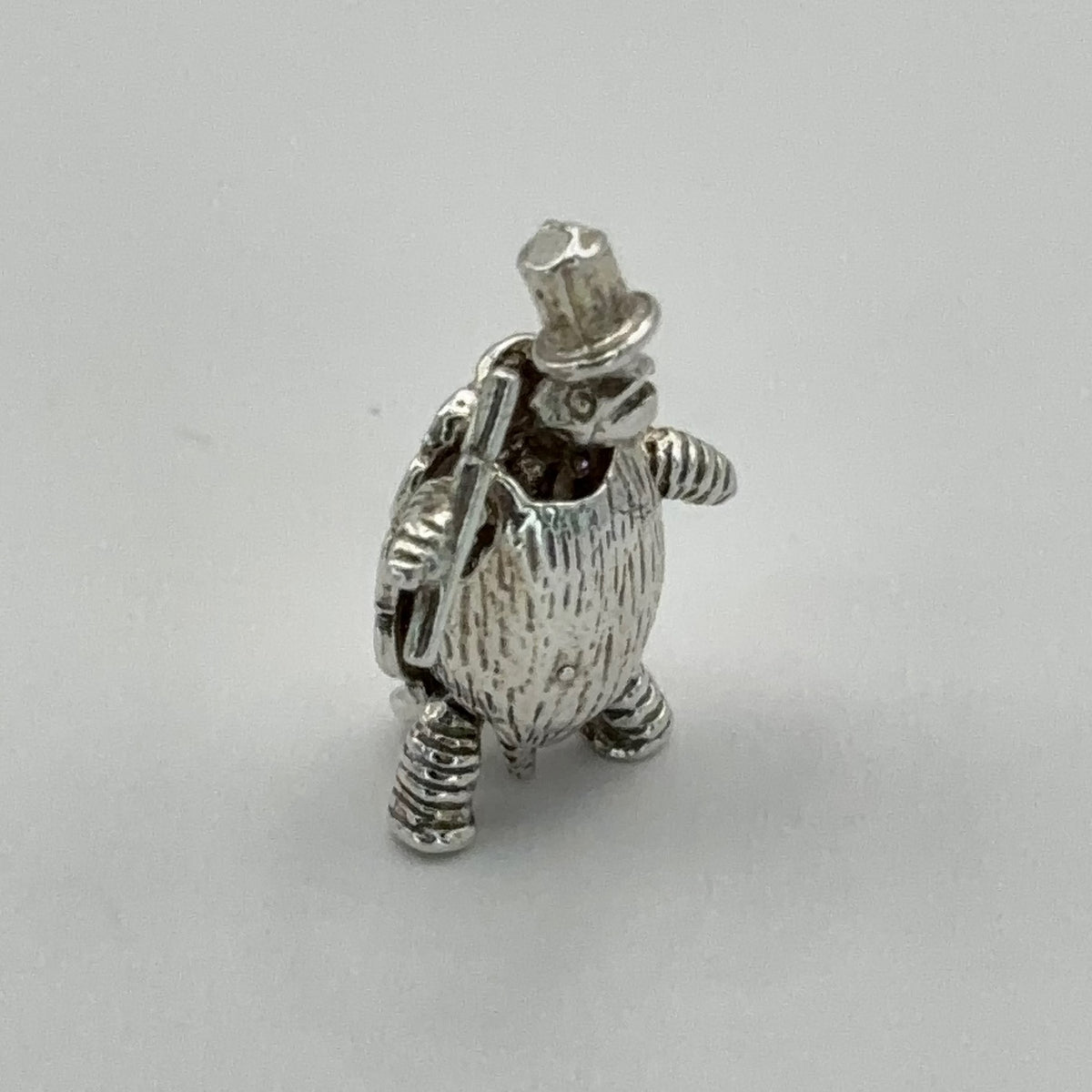 Turtle Magician