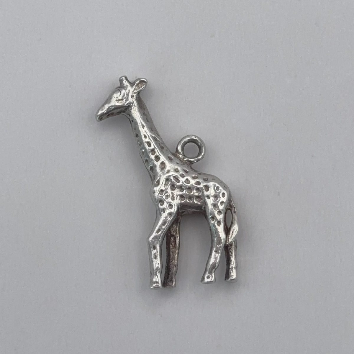 Lovely Giraffe