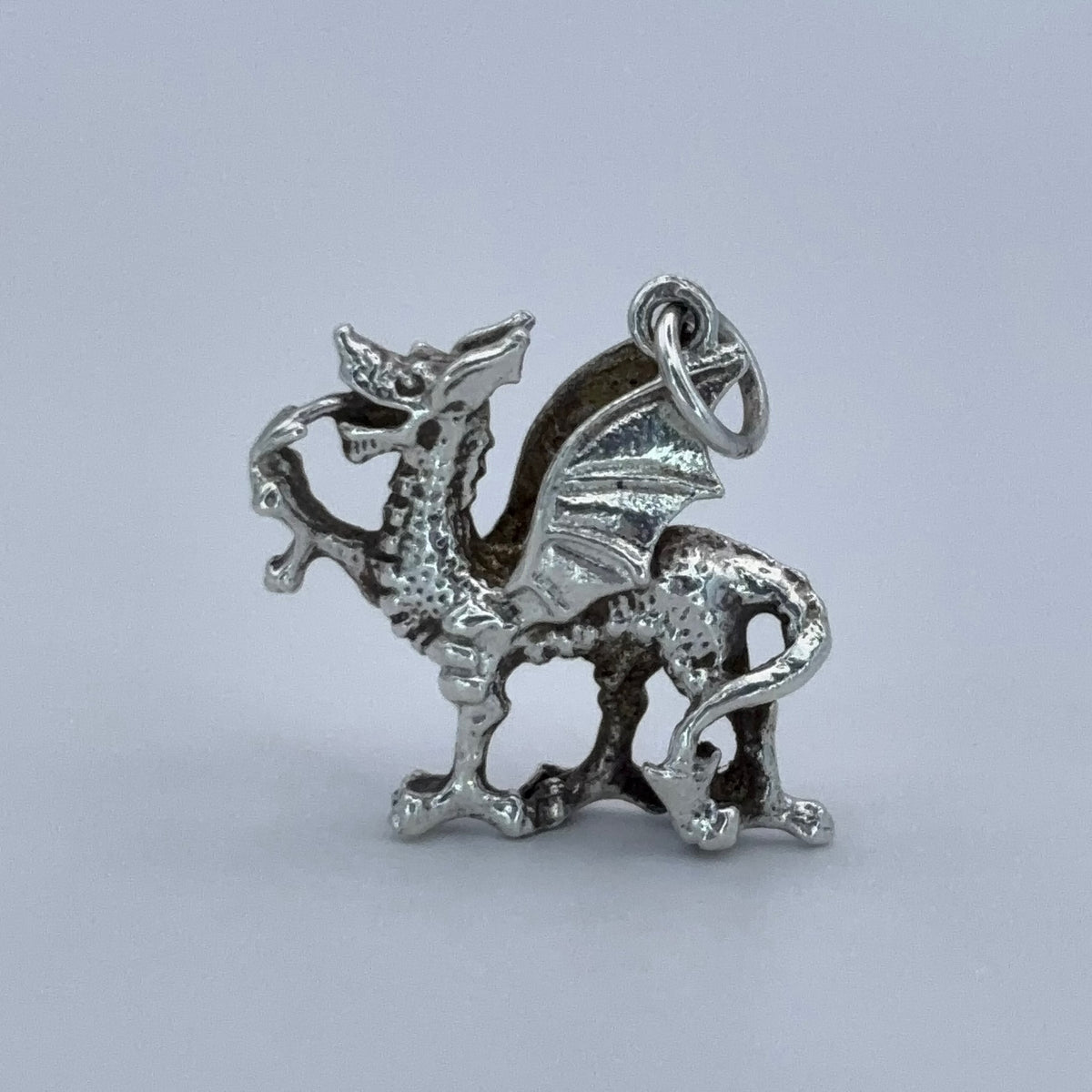 Fierce Dragon