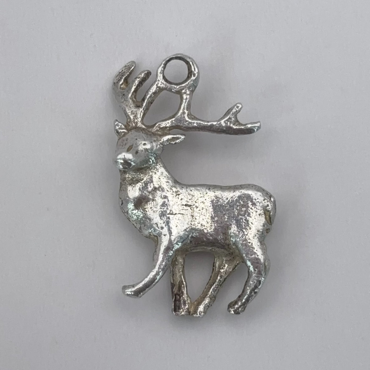 Southern Stag