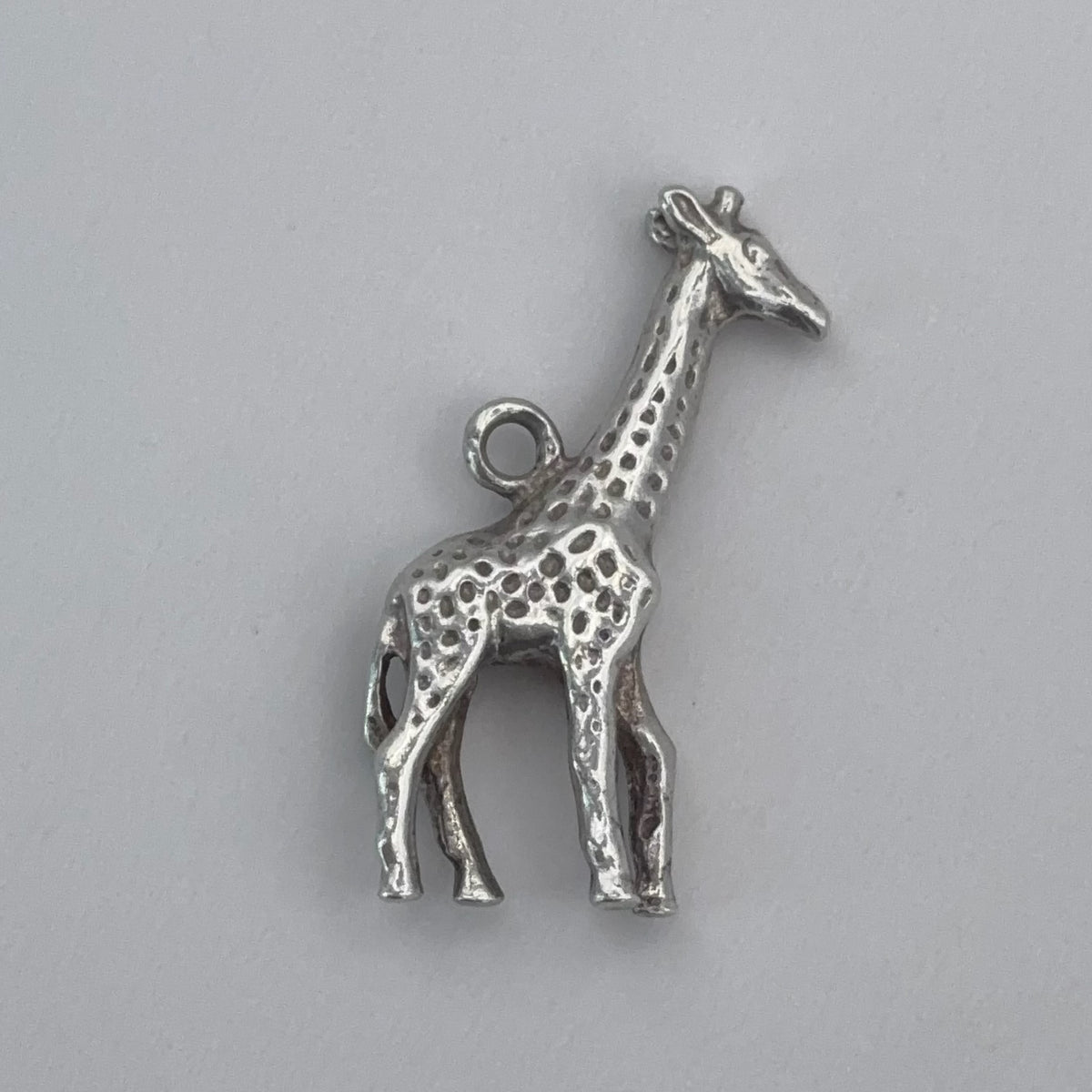 Lovely Giraffe