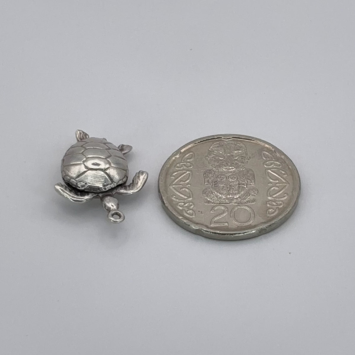 Articulated Turtle