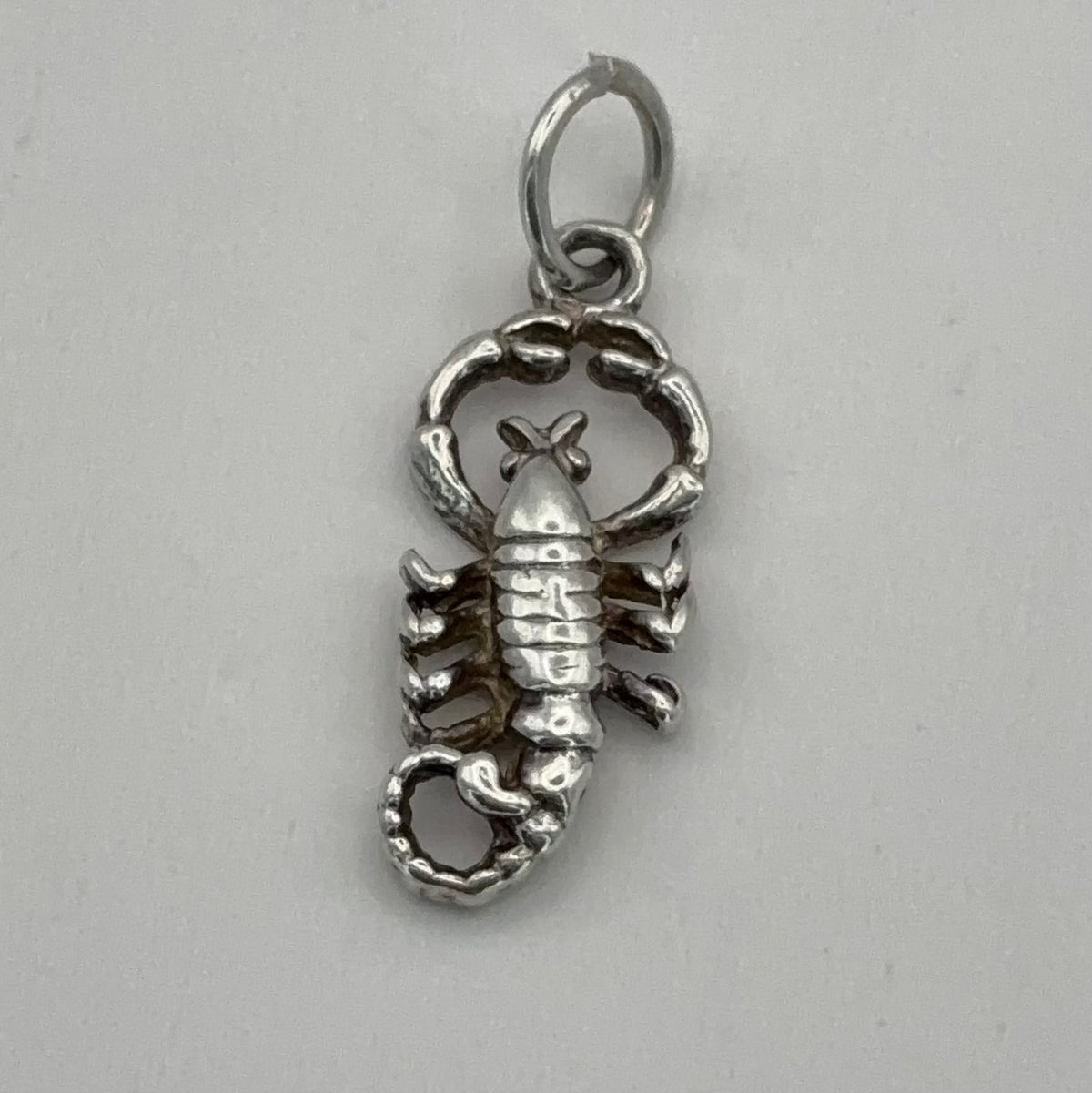 Friendly Scorpion