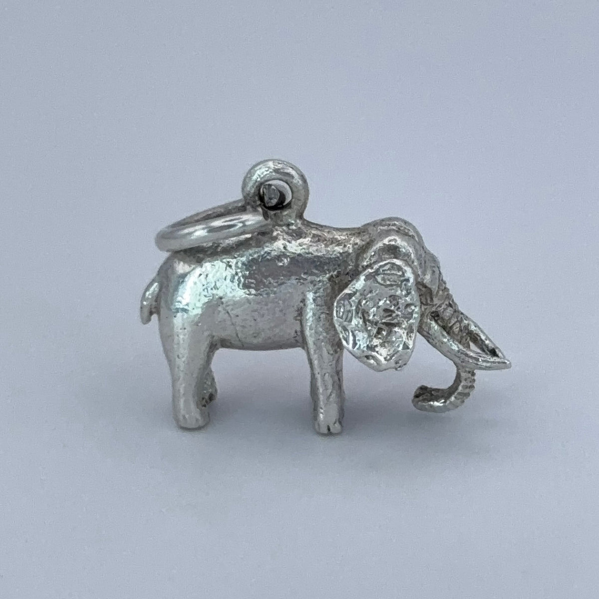 Tusky Elephant