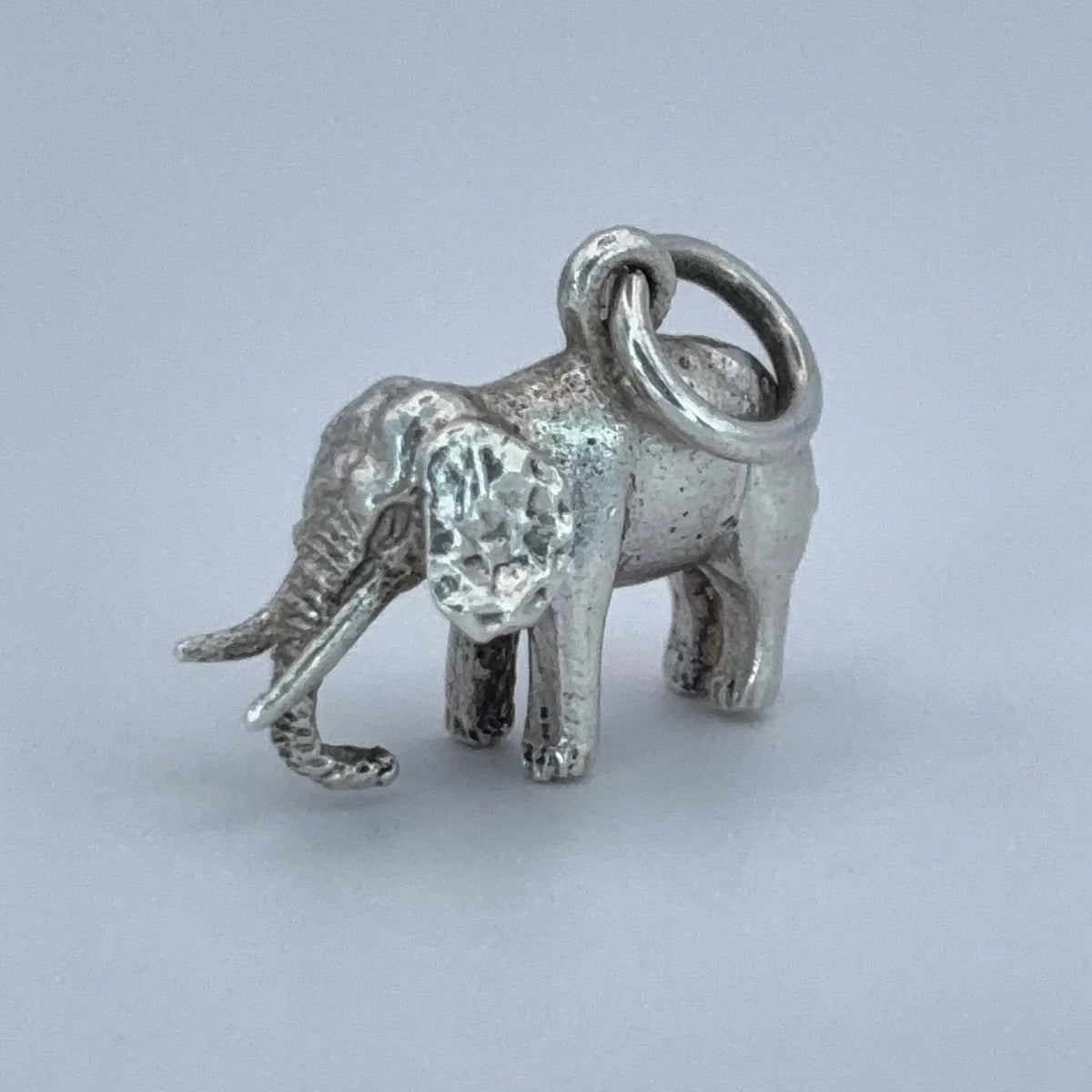 Tusky Elephant